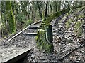 Muddy steps beside a moss-covered fence