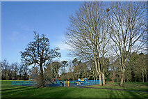 SO9095 : Tall trees and playground in Muchall Park, Wolverhampton by Roger  D Kidd