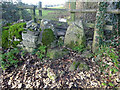 Stone Stile, Pitchcombe