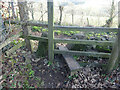 Stone Stile, Pitchcombe