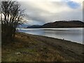 Shoreline of Loch Linnhe near Fort William