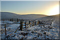 NT9221 : Gates on Scald Hill, Cheviots, Northumberland by Andrew Tryon