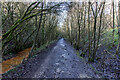 Newcastle Way / Former Potteries Loop Line, Kidsgrove