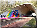 Entrance to the Caerwent Lane underpass, Chepstow