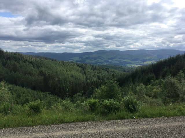 Glentress Forest © Steven Brown cc-by-sa/2.0 :: Geograph Britain and ...