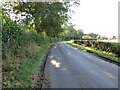 Road approaching Northfield Farm