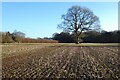 Farmland, Great Hampden