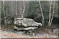 TQ5335 : Harrison's Rocks by N Chadwick