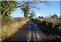 Messuage Lane towards Messuage Farm