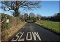 Cocksmoss Lane towards Cocksmoss Wood