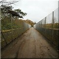 NS5576 : Security fencing by Richard Sutcliffe