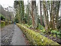 Path around Mugdock Reservoir