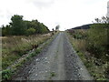 Forest track giving access to Alderybar