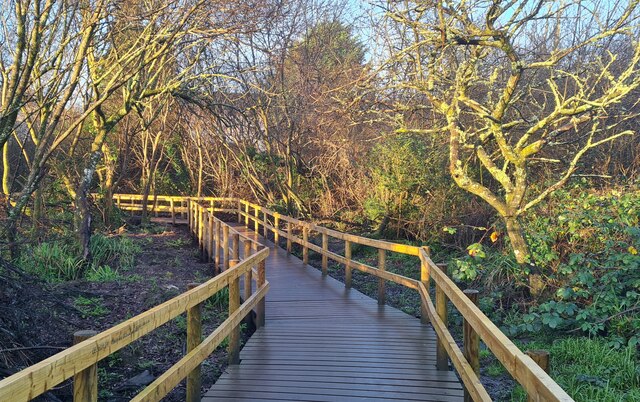 Early morning sun on the boardwalk through Prislow Woods