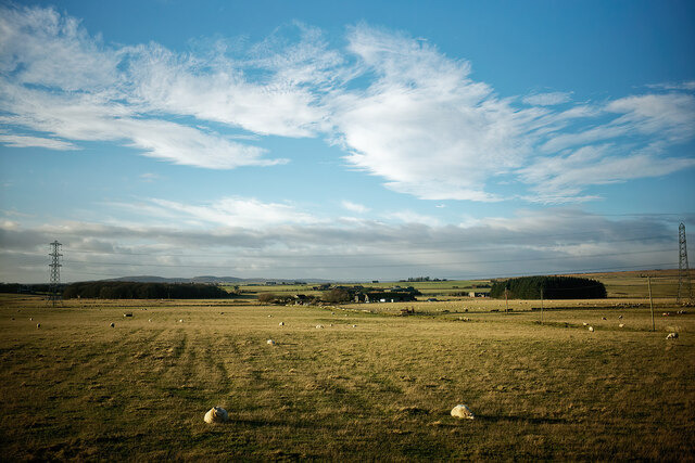 Farmland near Halkirk, Caithness