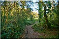 Lustleigh : Footpath