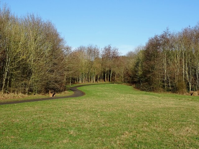 Sarah's Wood © Ian Calderwood :: Geograph Britain and Ireland