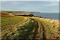 The Berwickshire Coast 	Path at Eyemouth