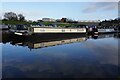 Canal boat Vida Nova, Trent & Mersey Canal