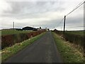 Minor road near South Palmerston Farm