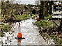 H4772 : Path maintenance, Cranny by Kenneth  Allen