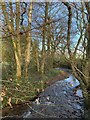 ST2384 : River Rhymney by Alan Hughes