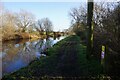 Trent & Mersey Canal towards bridge #15