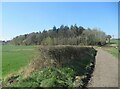 Bridleway towards Dissington Bridge