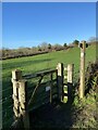 Public footpath across fields