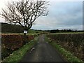 Sign warning of young pheasants on minor road near Mauchline