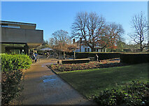 TL4557 : Cambridge University Botanic Garden: approaching the café by John Sutton