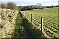 Bridleway to Barcombe Bottom