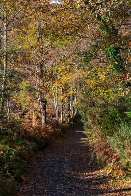 Bovey Tracey : Footpath by Lewis Clarke