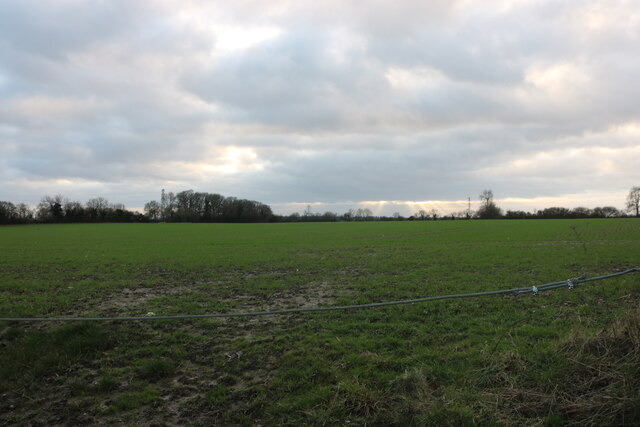 Field in Caddington by David Howard