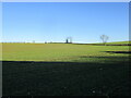 Autumn sown crop off New Mill Lane