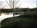 Flooded field off Rufford Colliery Lane