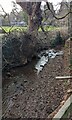 Brook below St Cenedlon