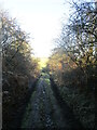 A glimpse of fields beyond the end of Stinting Lane