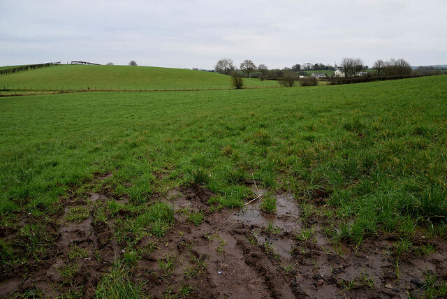 A muddy field, Kiltamnagh