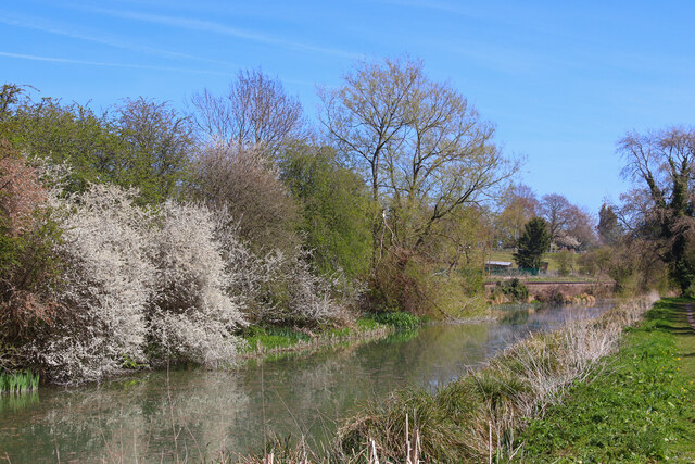 Canal near Froxfield