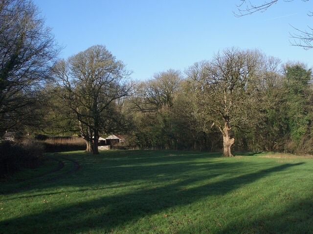 View towards the southern edge of Home Wood, Tythegston