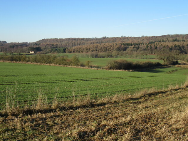 Appleton Lane view