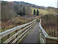 NT4528 : Path and footbridge over Long Philip Burn by Jim Barton