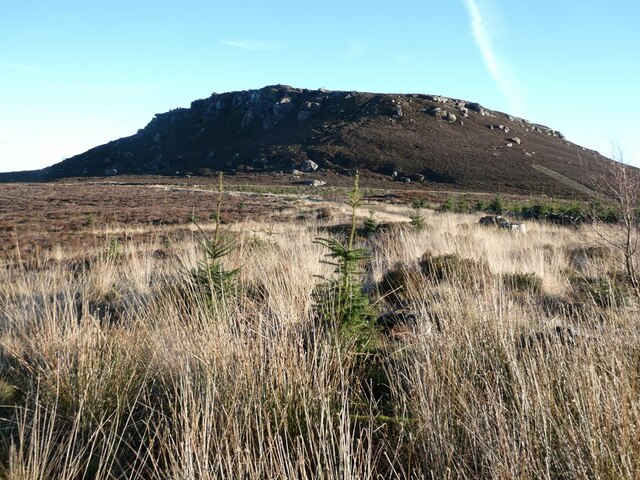 Moorland to the west of Simonside summit