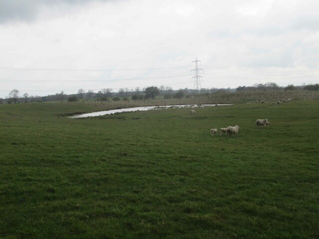 Pond on Farmland