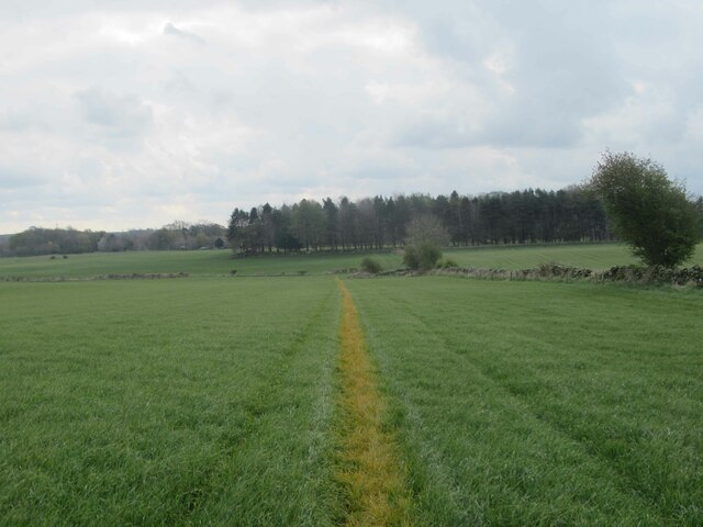 Footpath through Farmland towards Eachwick