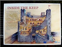 TQ7468 : Rochester Castle [9] by Michael Dibb