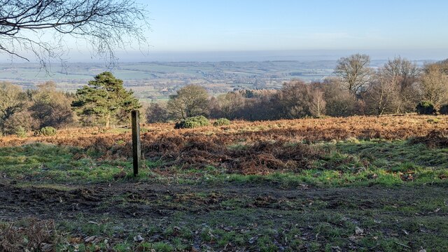 Countryside from Stanbroughs Wood