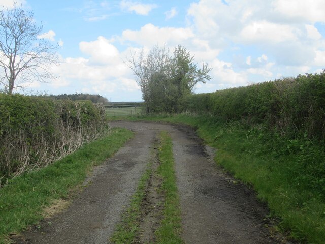 Farm Track near Red House Farm