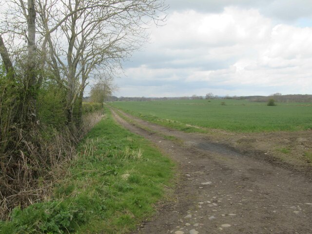 Footpath towards Low House